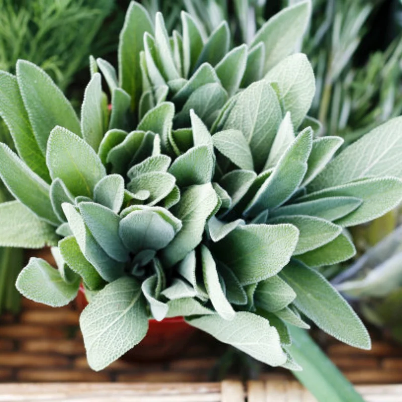 

4 шт. колеса из алюминиевого сплава, обод шины для Tamiya Mini M03 M04 M05 M06 SW01, шасси