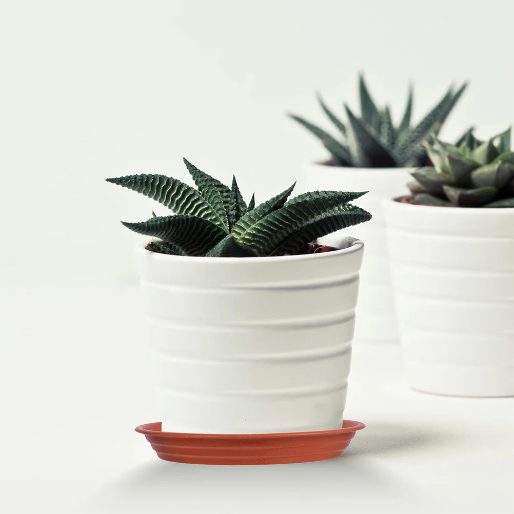 

6pcs Plant Pot Saucers 8.65 Inch Round Drainage Tray For Garden Potted Plants Imitation Terracotta Planter Base Water Catcher