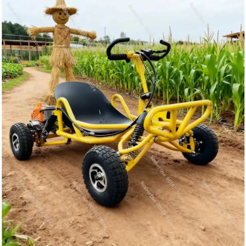 Off Road Rally Kart 2 Stroke Buggy for Adult Kids Beach Drift Mountain Dune Racing Go Kart