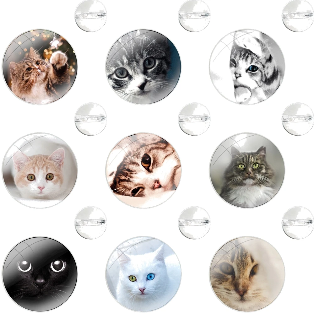 Cat looks at you Glass Dome Brooches Shirt Lapel Bag Cute Badge Pins For Clothes Hat Accessories