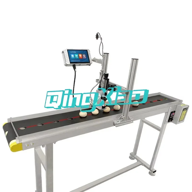 Automatic DTF Printer Production Line Code Date Bar Inkjet Marking Machine Chicken Eggs Plate Type High Stability Easy Operation