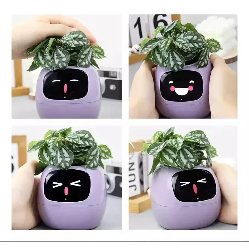 Smart Planter Endless Fun Over 49 Rich Expressions AI Chips Make Raising Plants Easy and Fun 7 Smart Sensors for Home Office