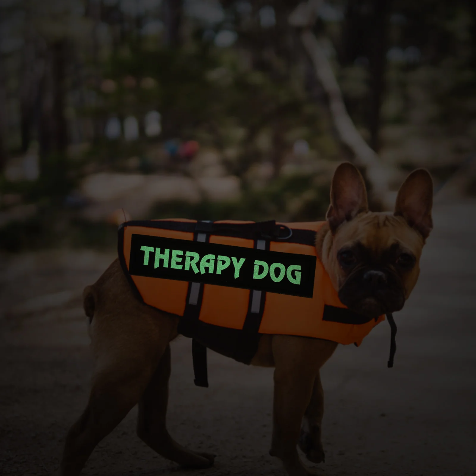 

Luminous Harness Patches Reflective Dog Vest Patch Removable Tag Dog Vest Patch Strap