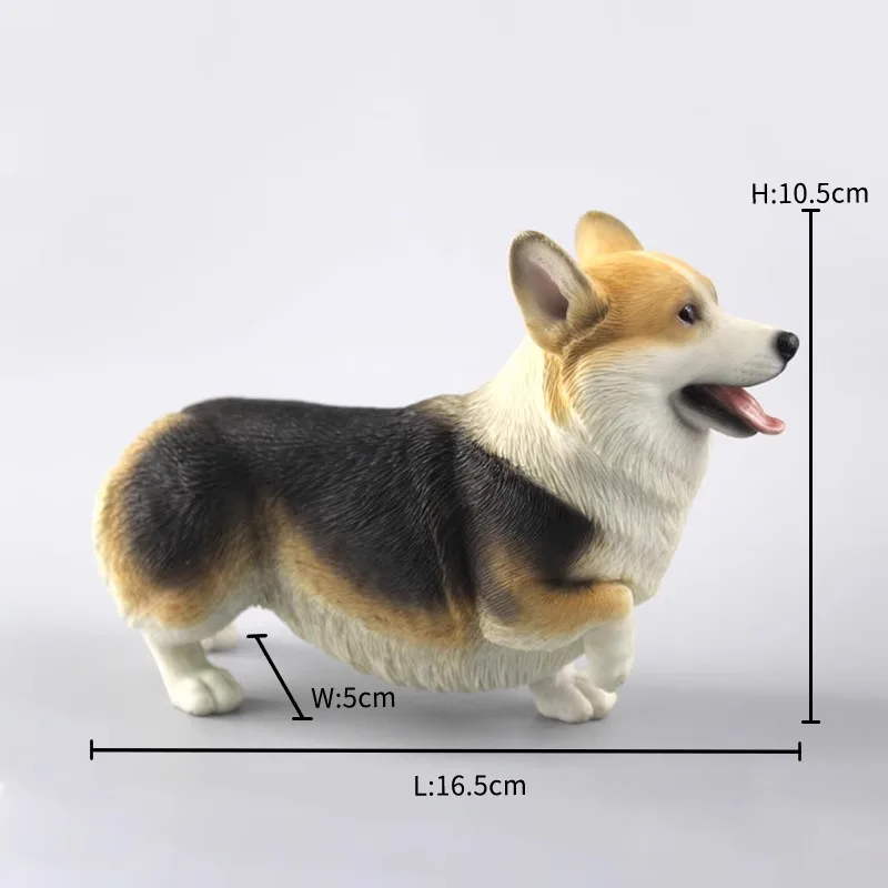 Xmmos 1/6 Welsh Corgi Model Resin Model Cute Hobbies Simulation Animal Model for 12inch Action Figures Accessory Toys