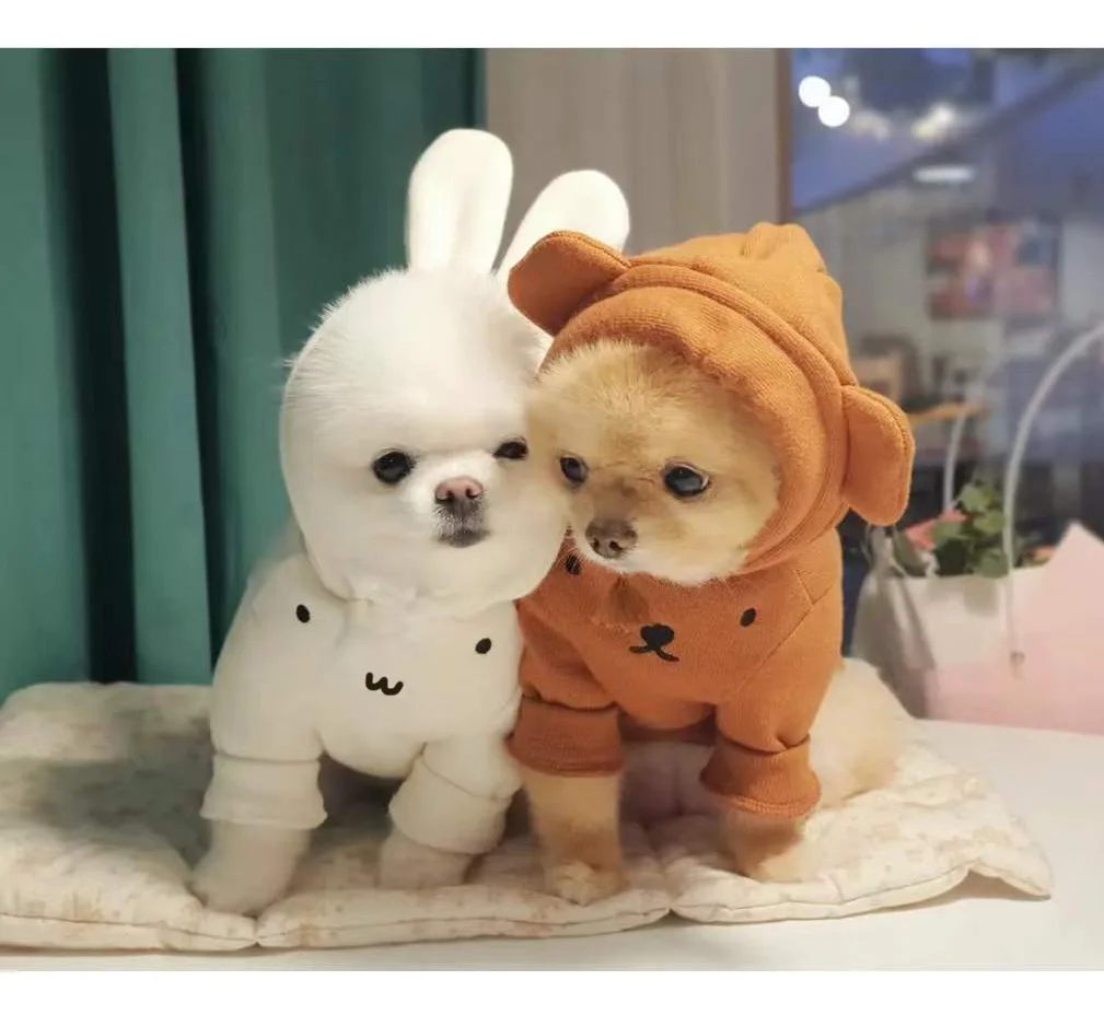 New Ins Winter INS Cute Rabbit Bear Ears Hoodie Plus Velvet Thick Warm Cotton Sweater Cartoon Expression Coat Fashion