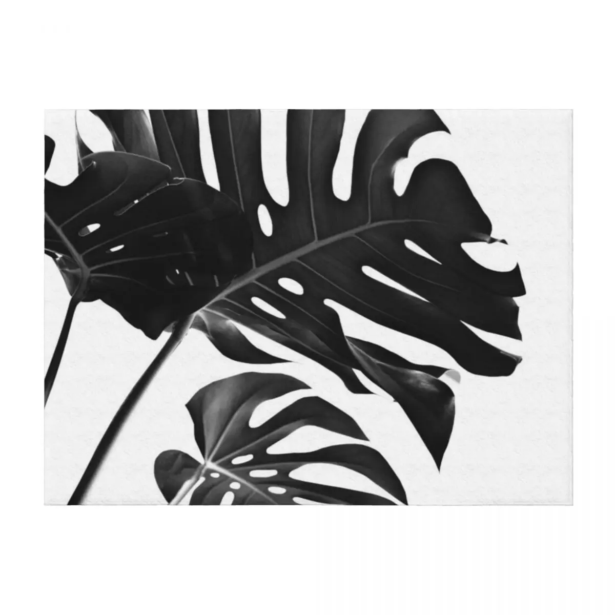 

Tropical Monstera Finesse #2 #minimal #decor #art Throw Blanket For Sofa Thin Luxury Designer Custom Decorative Sofa Blankets