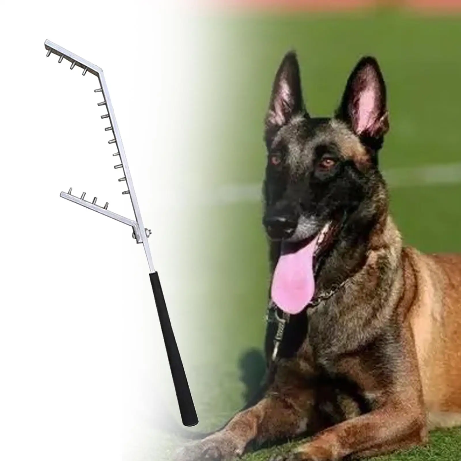 

Dog Training Stick Training Equipment,Sturdy,Training Pet Behavior,Lightweight