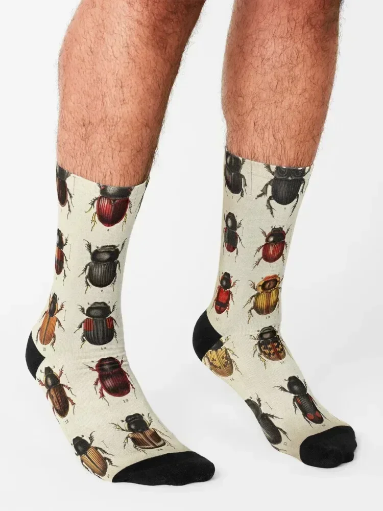 Beetle Chart, entomology Socks professional running anti slip football floral Soccer Socks For Men Women's