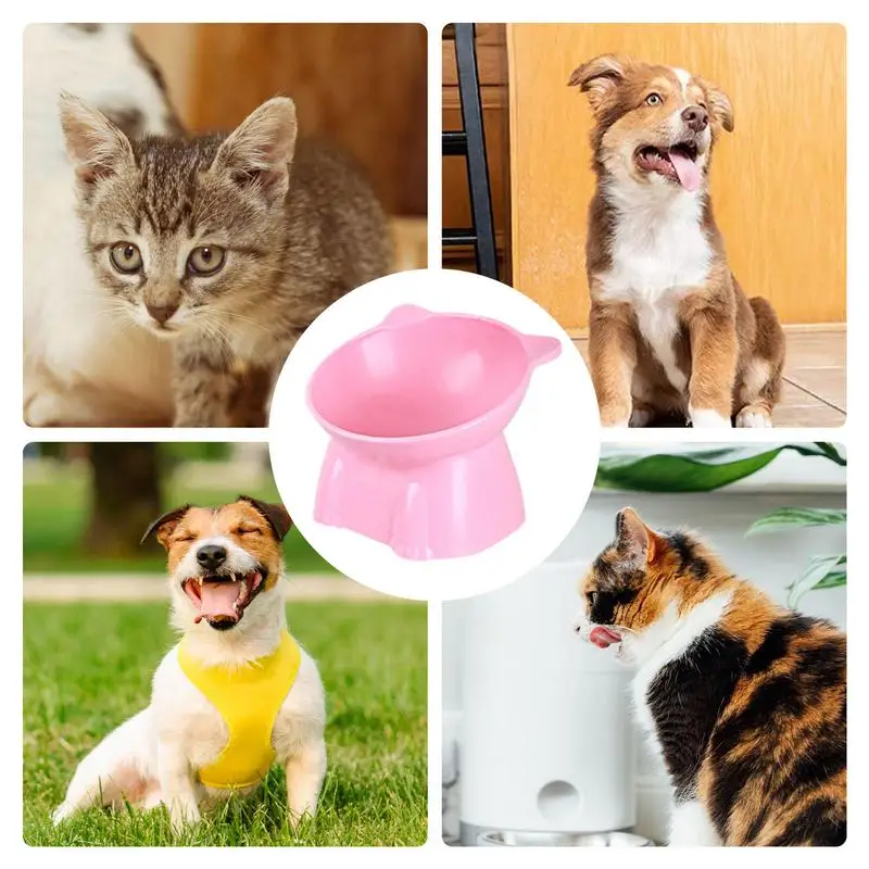 Elevated Cat Food Bowl Tilted Food Dish For Indoor Cats Non-slip Pet Food Bowls Tall Cat Feeding Bowls For Prevent Neck Fatigue