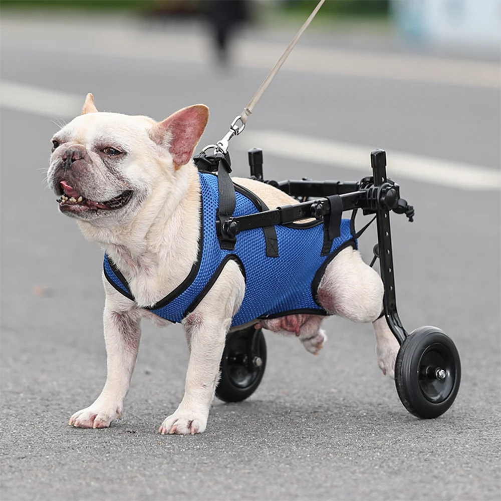 Dog Wheelchair Disability Dog Hind Legs Bracket Cat Dog Injured And Weak Rehabilitation Aid Car Adjustable Pet Walk Booster