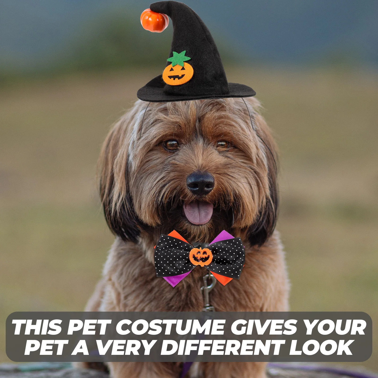 

1Set Pet Pumpkin Hat Costume Cats Dress Up Kit Festival Party Halloween Accessories Clothes for Cats