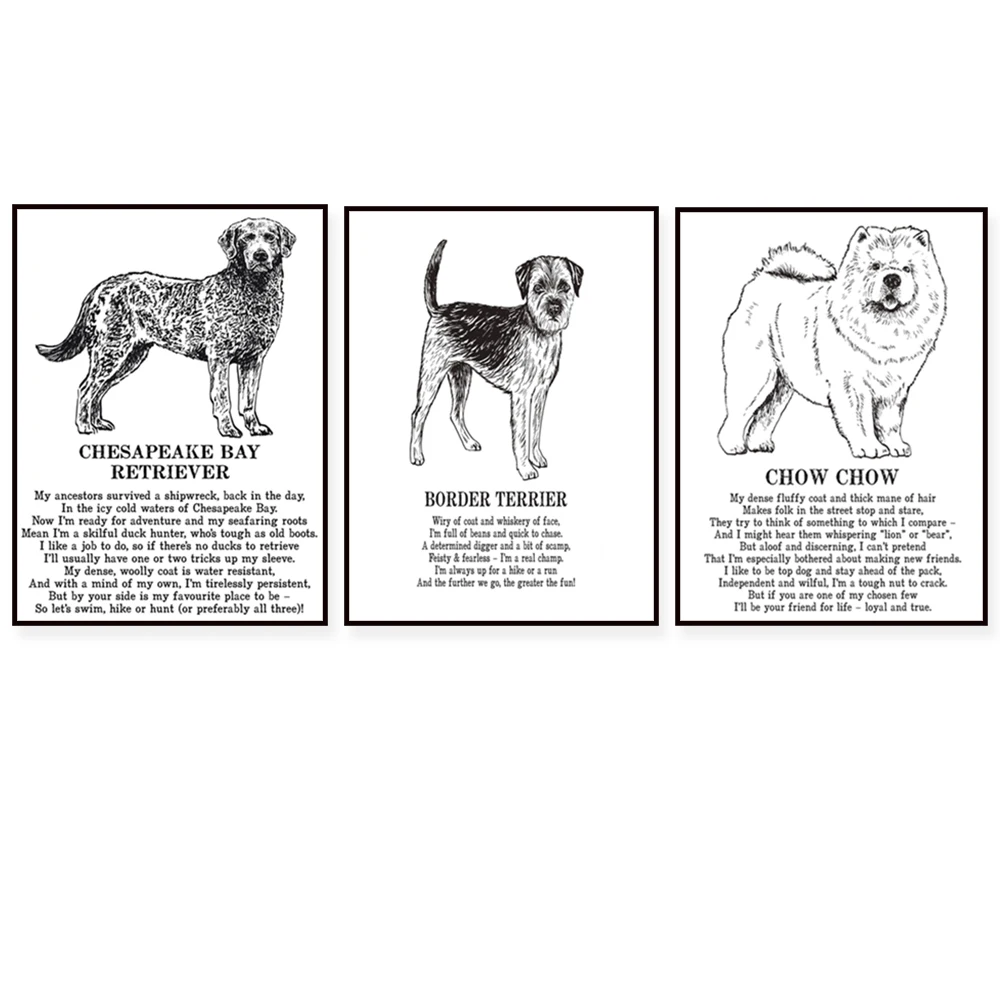 Pósteres de animales con Chesapeake Bay Retriever, Griffon de Bruselas, Clumber Spaniel, Bichon Frise, Collie con cresta china, Chow