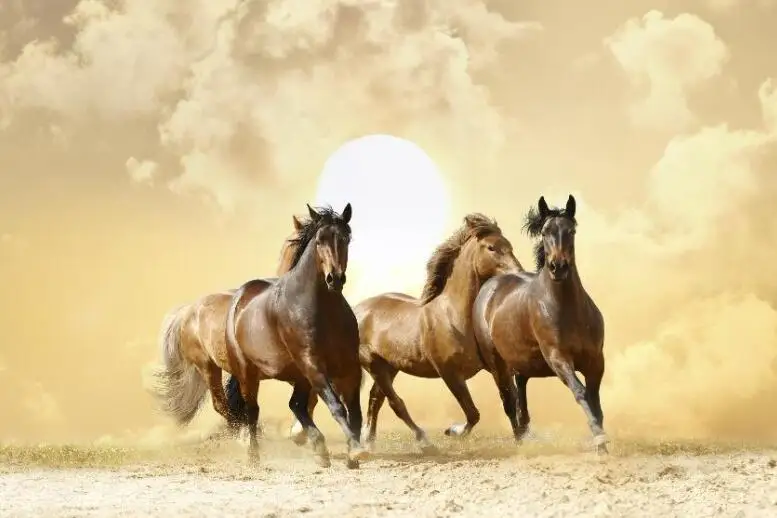 Custom any size Wallpaper Modern Art Black White Horse TV Background Wall Paper Mural Creative Living Room Bedroom Home Decor