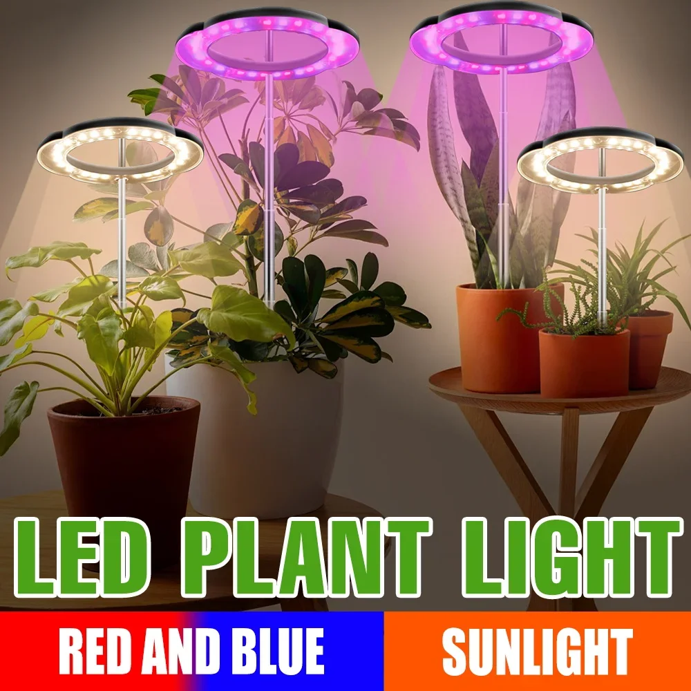 DC5V USB Full Spectrum LED Grow Light Dimmable Auto Timer 8/12/16H Indoor Seedling Succulent Vegetable HydroponicsFill Lighting