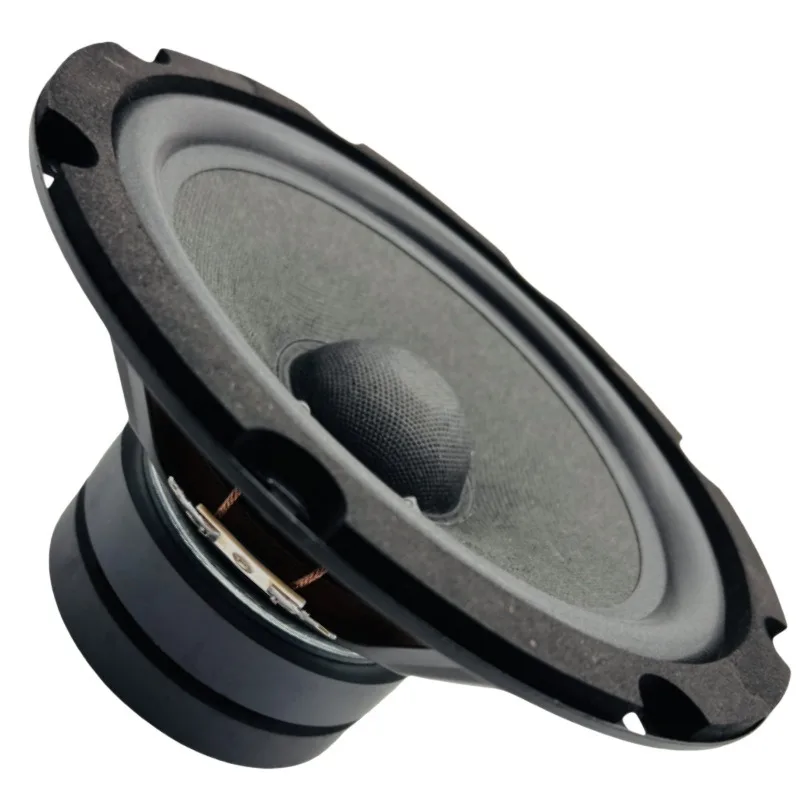 For 8 inch full range, subwoofer speaker speaker 8 Euro double 100 magnetic
