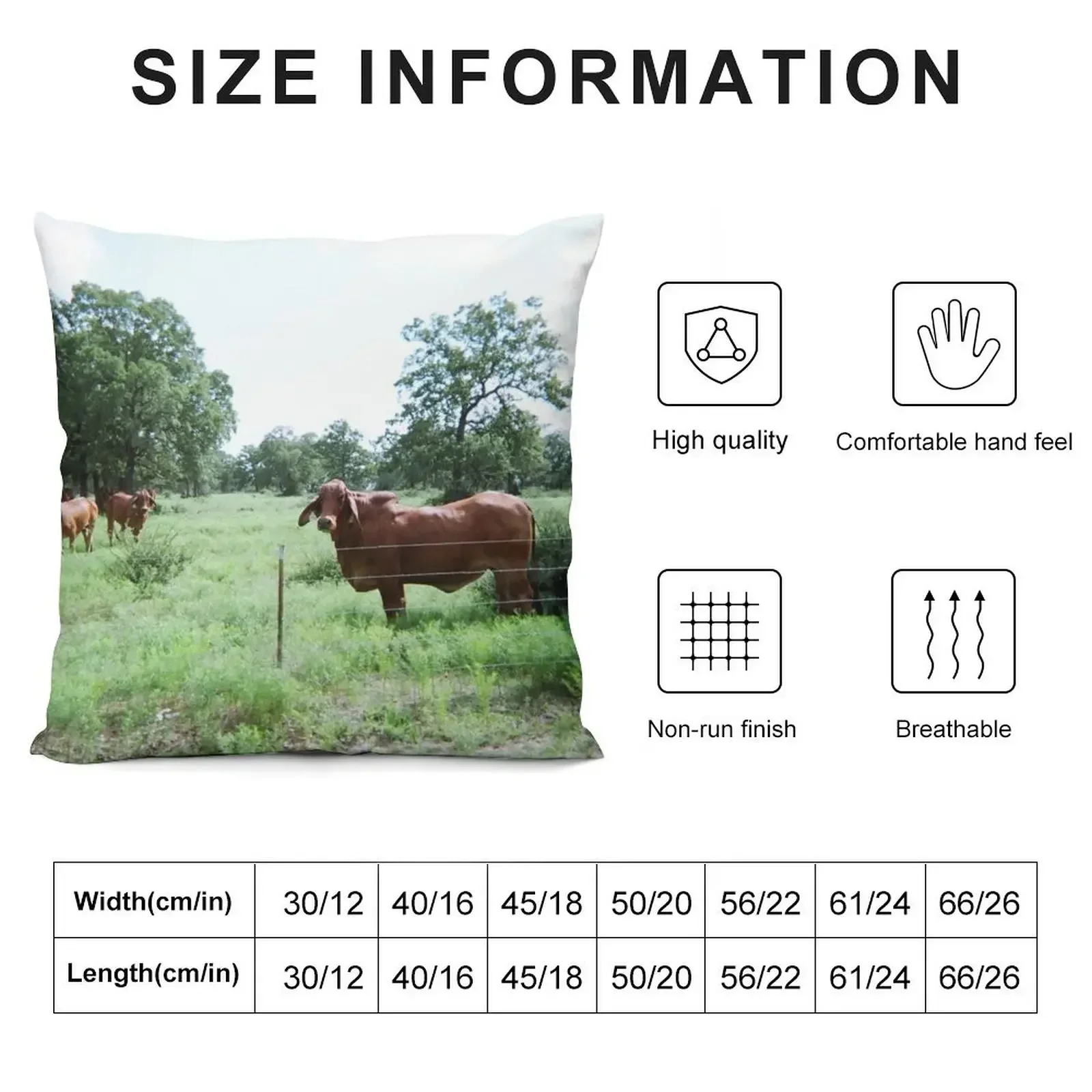 Brahman Cow Photo Throw Pillow Cushion Cover For Sofa pillow cover christmas pillow