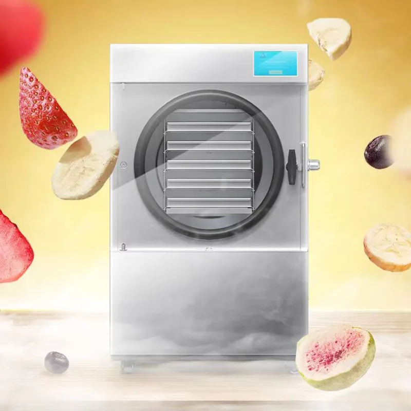 Industrial Freeze Dryer 30KG With Oil Free Vacuum Pump Cheapest Price