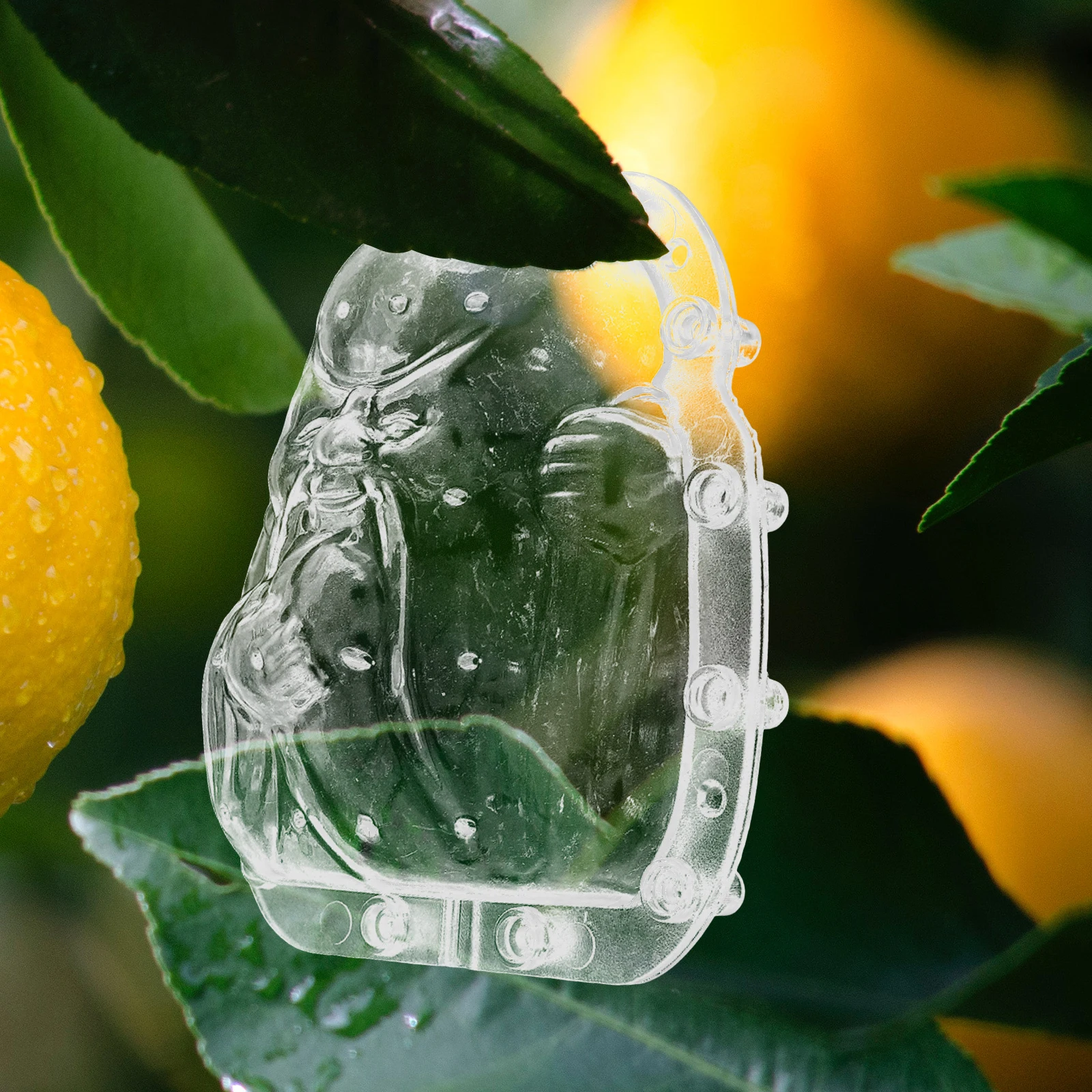 

Fruit Growing Mold Set Clear Durable Shaping Mold for Vegetable Fruit Garden Backyard Growing Helper Pumpkin Molds for Garden