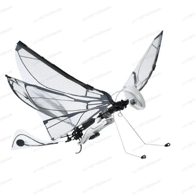 Remote Control Bionic Bird Flyer Flapping Wings Insect Bird Science Children's Small