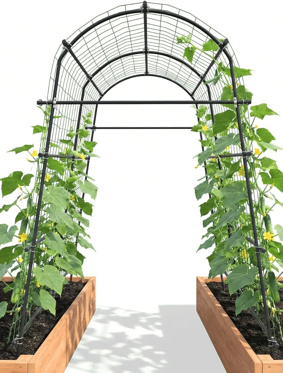

7ft Garden Arch Trellis for Climbing Plants Outdoor-Heavy Duty Metal Cucumber Trellis for Raised Beds- Tall Steel Vegetable Arbo