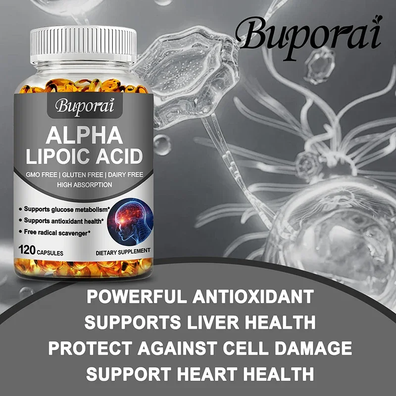 Alpha Lipoic Acid - Supports Brain and Heart Health, Improves Cognitive Function, and Relaxes Nerves