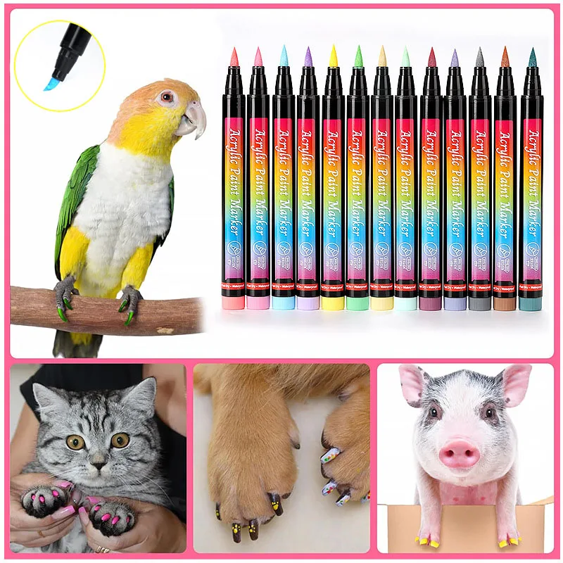 Doodle Nail Pen PET Dog Cat Gift 3D Nail Art bricolage vernis à ongles stylo imperméable acrylique marqueur de peinture outils de manucure