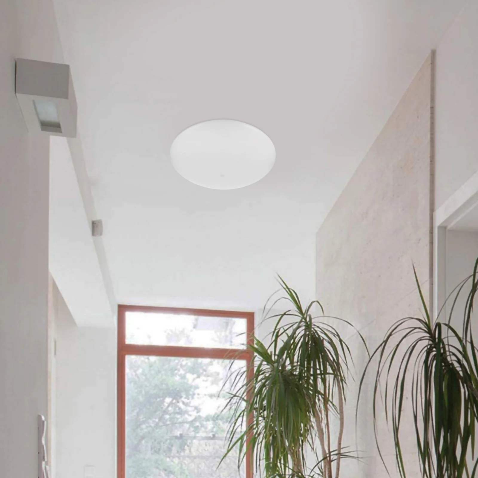 

Ceiling Light Lampshade Round Plastic Cover For Living Room Bedroom Bathroom Easy Install Durable Light Fixture Accessory