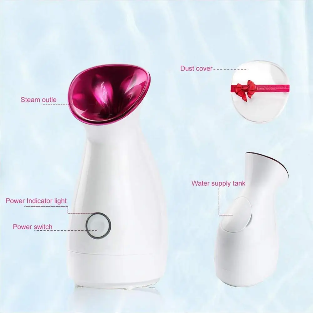 New Face Spa Electric Ionic Beauty Equipment Nano Mister Spray Steamer