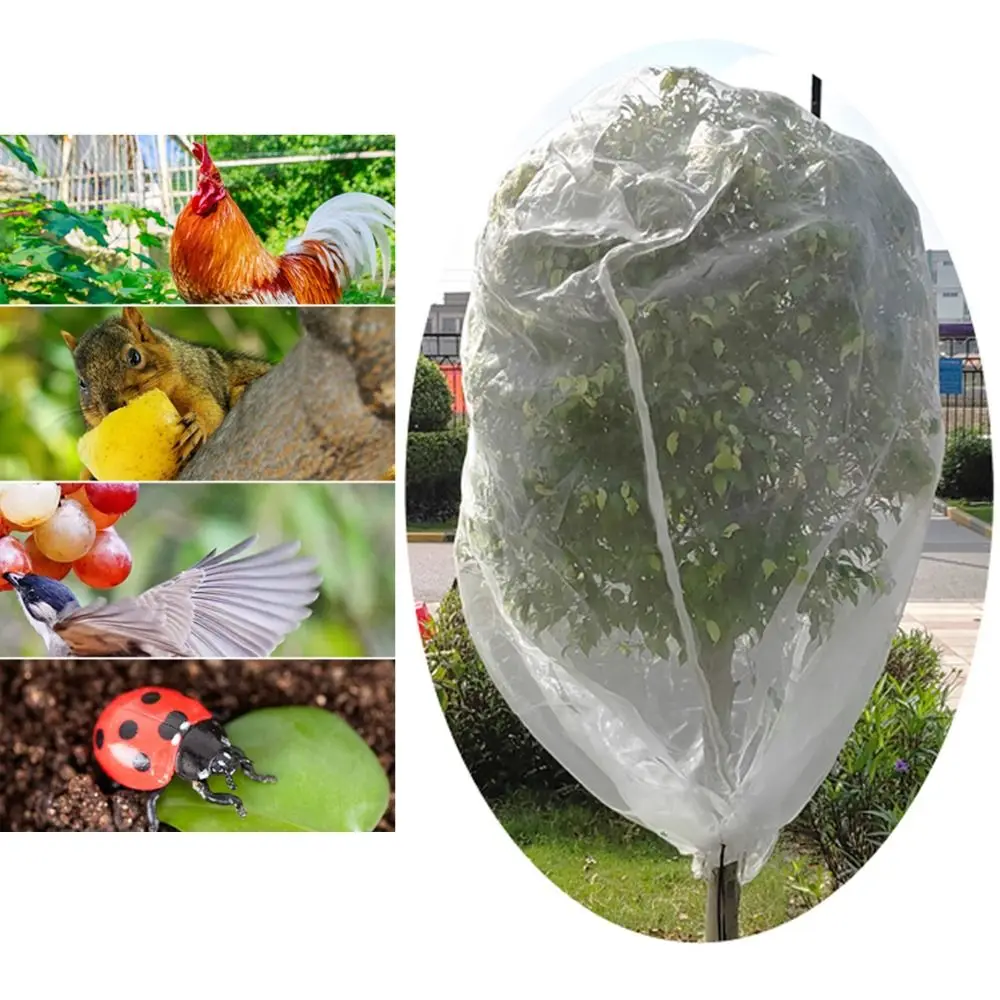10ftx10ft Fruit Tree Netting Bags Insect Proof Large Insect Bird Barrier Netting with Zipper and Drawstring Garden Bird Netting