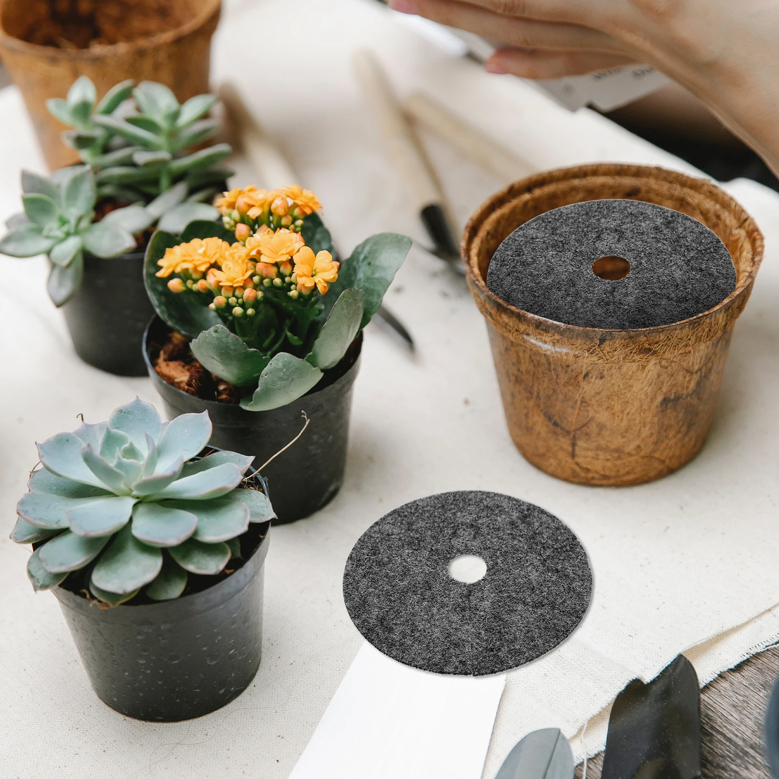 

20 Pcs Non-woven Grass Mat Fabric Grey Planter Ruderal Barrier Landscape Plant Protector Cloth