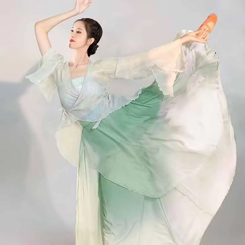 

Classical dancer performance costumes chiffon practice dance clothes body long outer green purple Chinese style folk dance dress