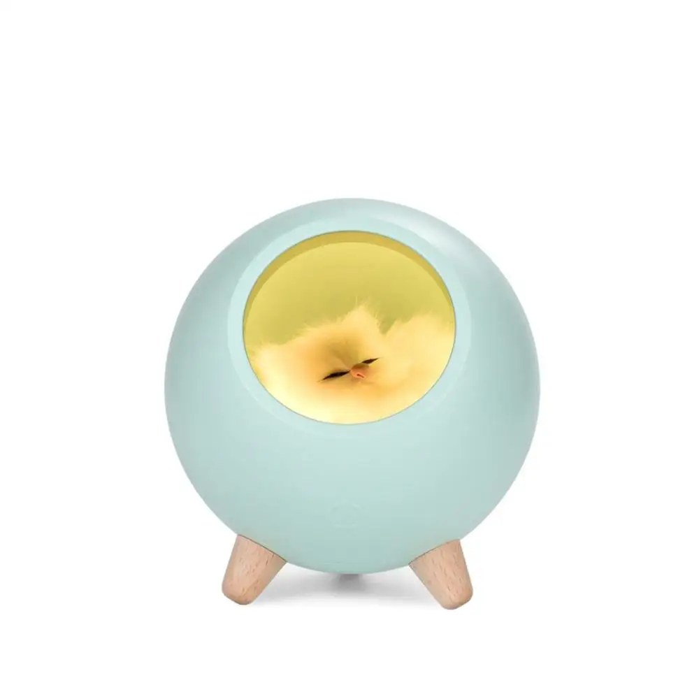 Veilleuse de maison pour animal de compagnie, lit de chaton avec lumières de couchage, USB, lumières d\'ambiance tactiles, petits chats mignons