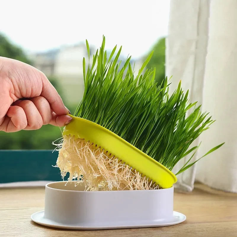 1Pcs New Pet Cat Sprout Dish Growing Pot Hydroponic Plant Cat Grass Germination Digestion Starter Dish Greenhouse Grow Box