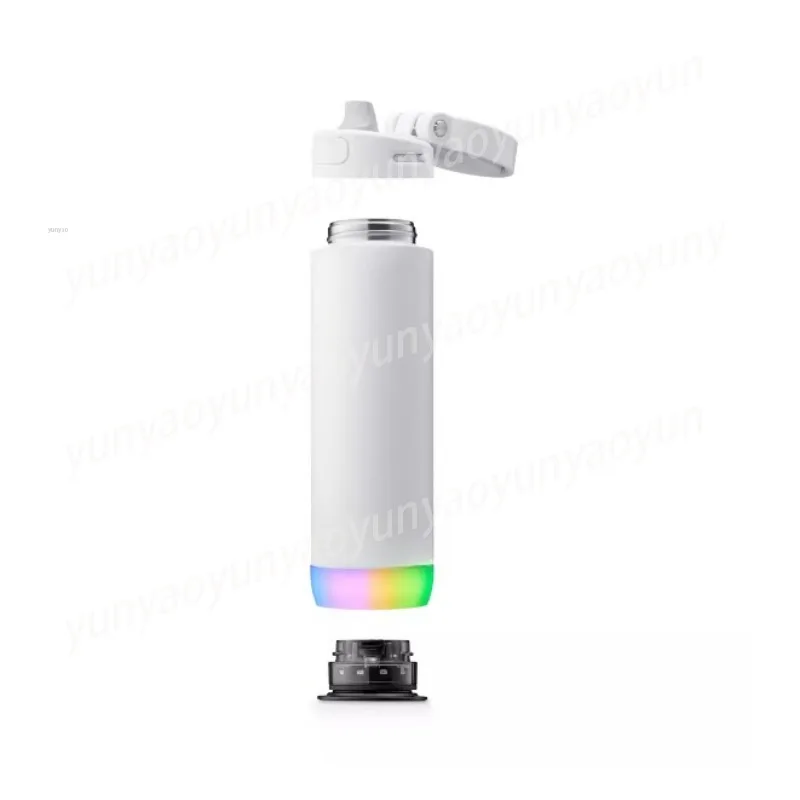 Intelligent Temperature-controlled Thermos Cup Drinking Reminder Tracking Water Cup (621ml)