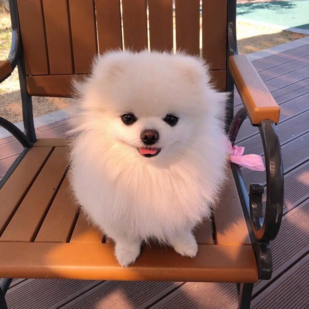 

MJX 7303 1/7 RC Car Запасные части для радиоуправляемых машин: передняя и задняя защитная пластина, нижняя защита, металлическая броня, защита шасси 7303