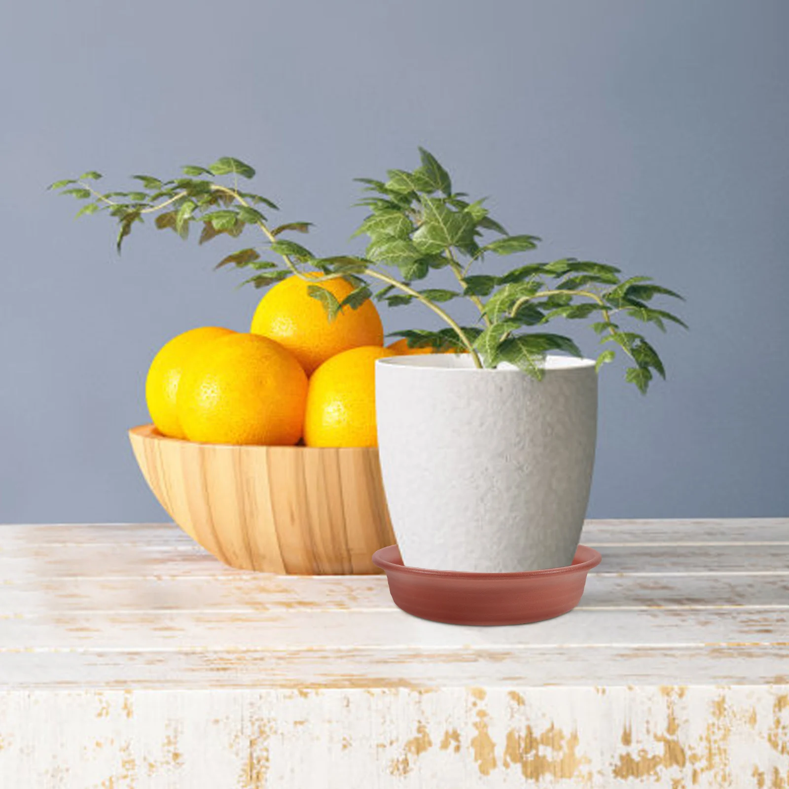 

2Pcs Resin Plant Saucer Round Drainage Tray for Pots Plants Water Tray Indoor Outdoor Flower Pot Saucers Plant Trays for Pots