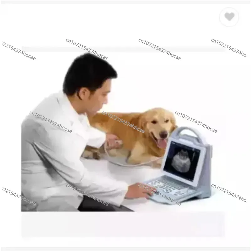 HF-KX5600 Handheld Veterinary Ultrasound Detector Portable Color Doppler Diagnostic Equipmen