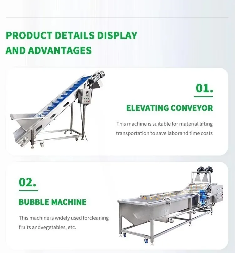 Customized Root Vegetable Washing Sorting Cutting Machine Mustard Stem Lettuce Sweet Potato Horseradish Process Line