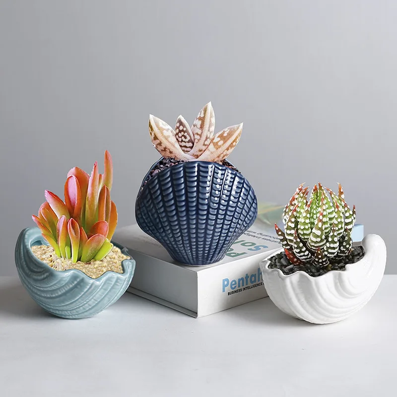 Nordic Creative Ceramic Succulent Plant Flower Pot Shell Conch Flower Pot Nordic Style Ocean Desktop Decoration Home Decoration