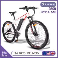 Fafrees F28 MT Electric Bicycle 250W 36V 14.5Ah Lithium Removable Battery 27.5*2.25 Inch Tire Ebike
