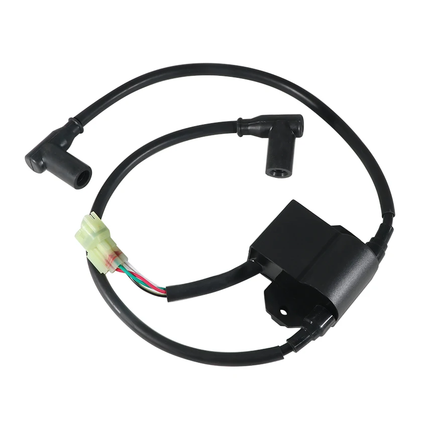 OEM: 420965757 Startmotor-Zündspule für Ski-Doo Formula S/SL Skandic 380/500/600 Touring SLE/E LT Motorradzubehör – Detail 8