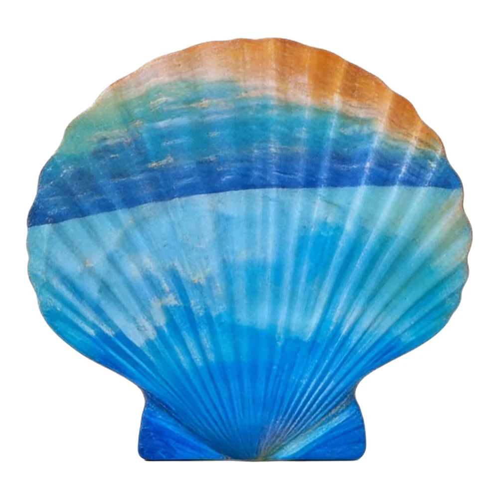 2''-3'' DIY Craft Shells Creative Decoration Ideas For Parties Summertime Party Decor Thematic Decoration Ideas
