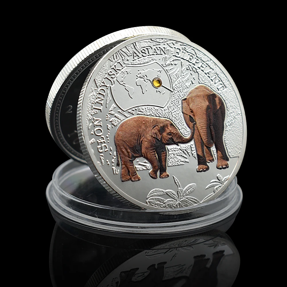 12pcs Rare Animals Silver Coin Set Zambia 1000 Kwacha Coin Commemorative Medal In Capsule Gift for Animal Lovers