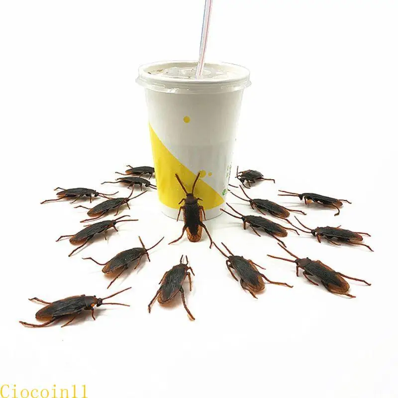 Y1ub 12pcs thực tế gián Bugs đồ chơi tháng tư Cá con ngày