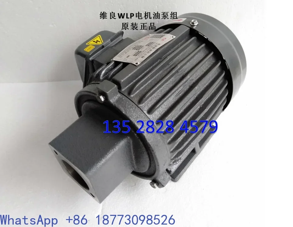 Weiliang Motor Pump Assembly ROP220HA ROP210HA ROP206HA ROP212HAWLP Oil Pump