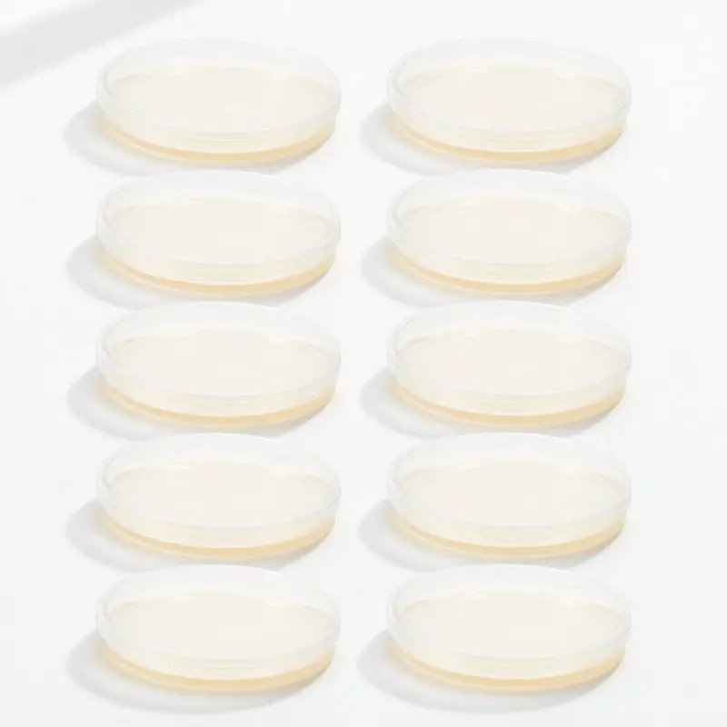 

10Pcs Lb Agar Plates Portable Prepoured Petri Dishes Science Project School Lab Experiment Supplies for Culture Storage