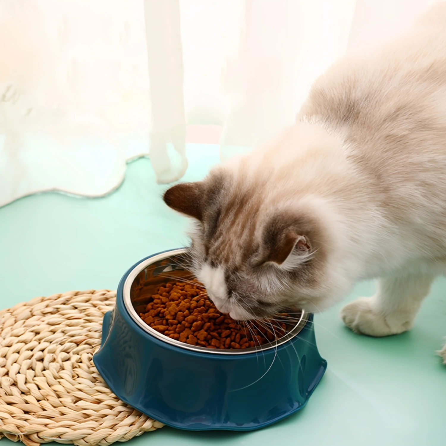 

Pet Cat Dog Stainless Steel, Portable Feeding Bowl, Feeding Water Bowl, Detachable Pet Travel Carrying Bowl