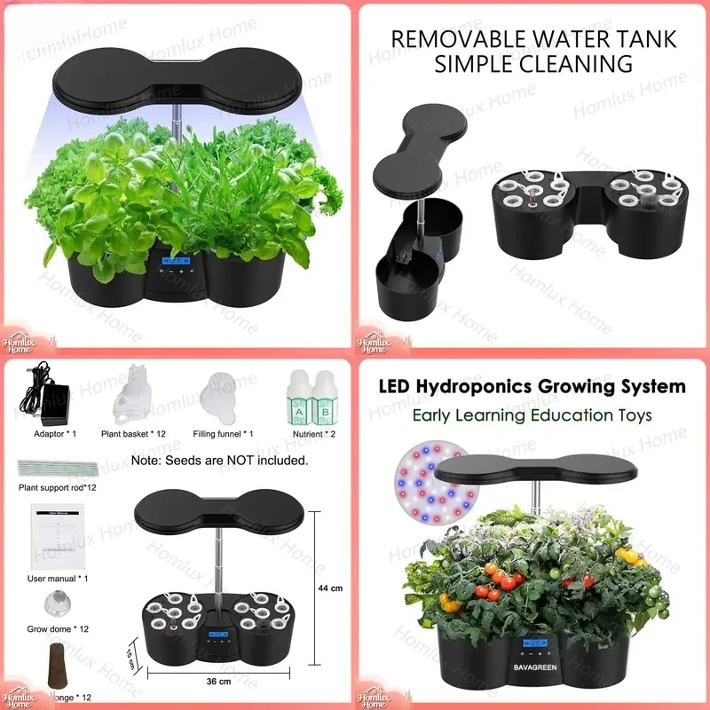 Customized Plant Germination Kit for Gardening Early Education Kids Science Experiment 12 Pots Lettuce Seed Starter