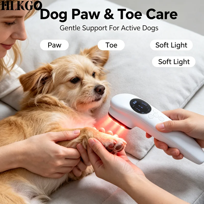 Professional 880mW 16+4 Diodes LLLT Cold Laser Therapy Device for Sports Injury Joint Muscle Pain Recovery Home Care