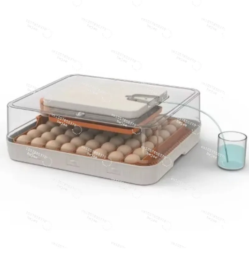 Automatic Egg Incubator, 110V/220V Chicken Hatching Machine with Auto-Turning
